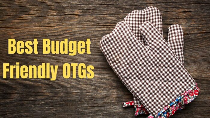 Best Budget-Friendly OTGs to Buy in India